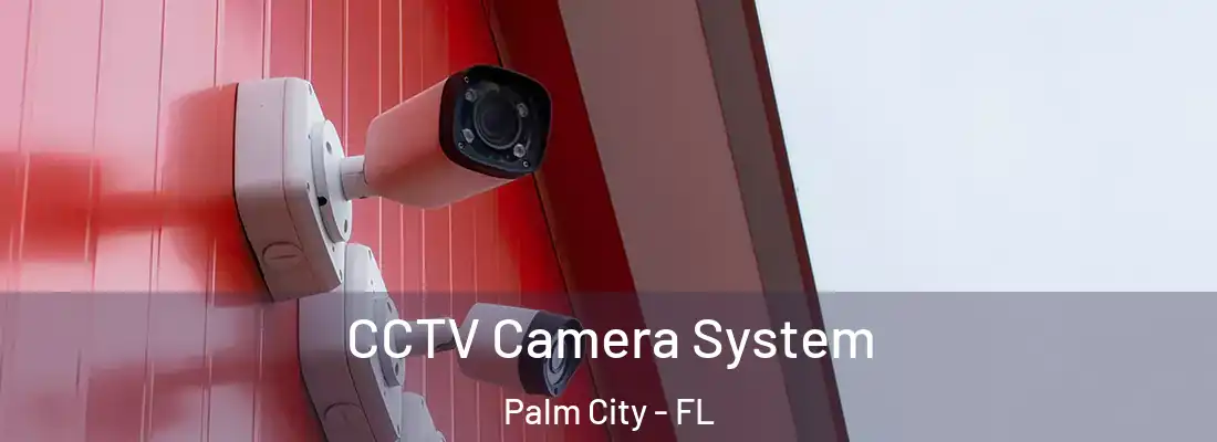 CCTV Camera System Palm City - FL