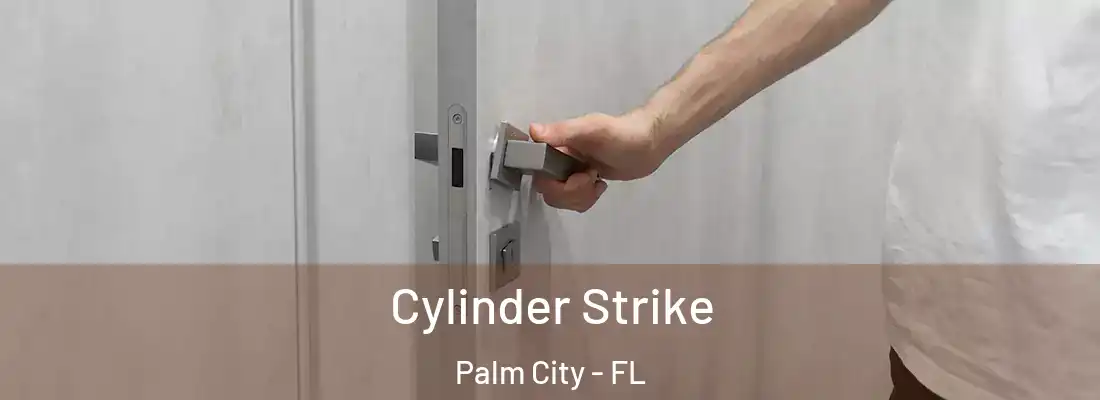 Cylinder Strike Palm City - FL