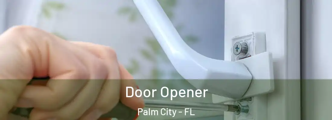 Door Opener Palm City - FL