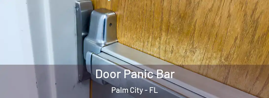 Door Panic Bar Palm City - FL