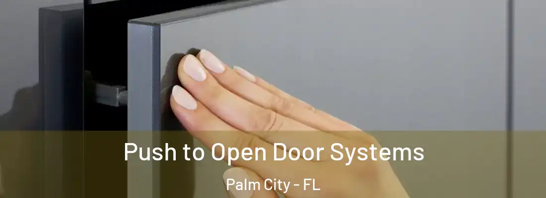  Push to Open Door Systems Palm City - FL