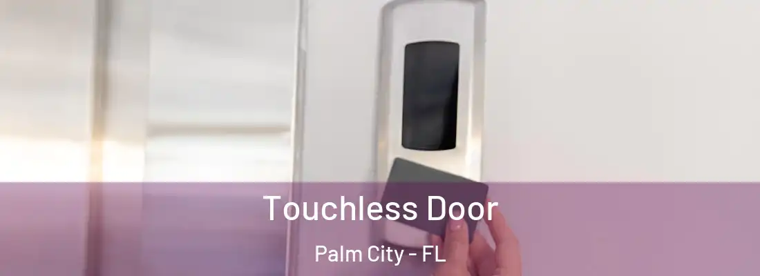 Touchless Door Palm City - FL